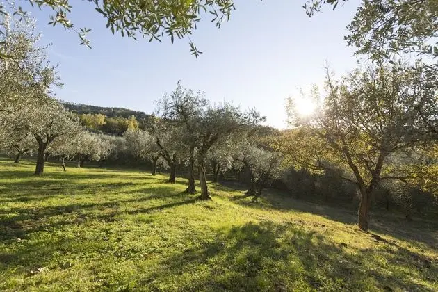 Podere le Corone - Dış Mekan