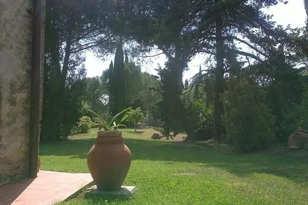 Podere San Quirico - Dış Mekan
