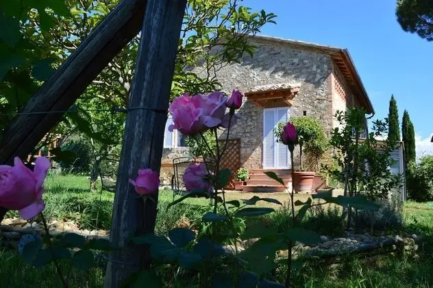Podere San Quirico - Oda