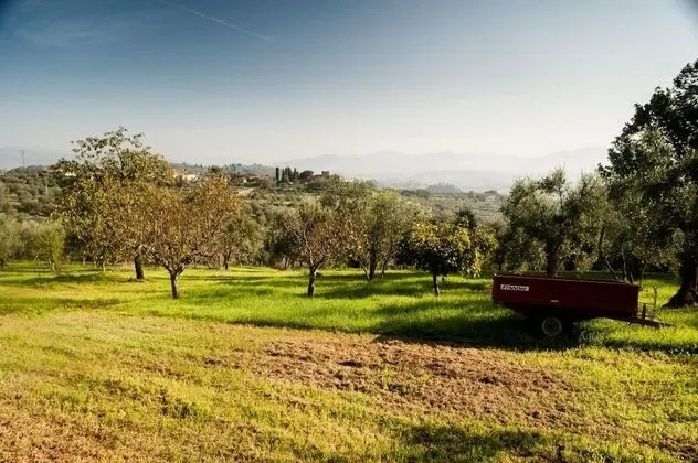 Podere Scaluccia - Dış Mekan