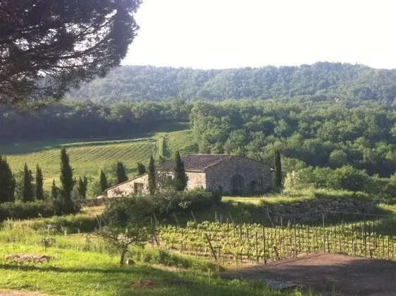 Podere Terreno alla Via della Volpaia