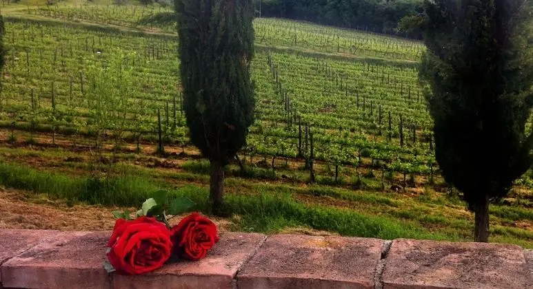 Podere Terreno alla Via della Volpaia - Dış Mekan