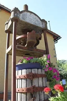 Villa Poggio di Gaville - Dış Mekan