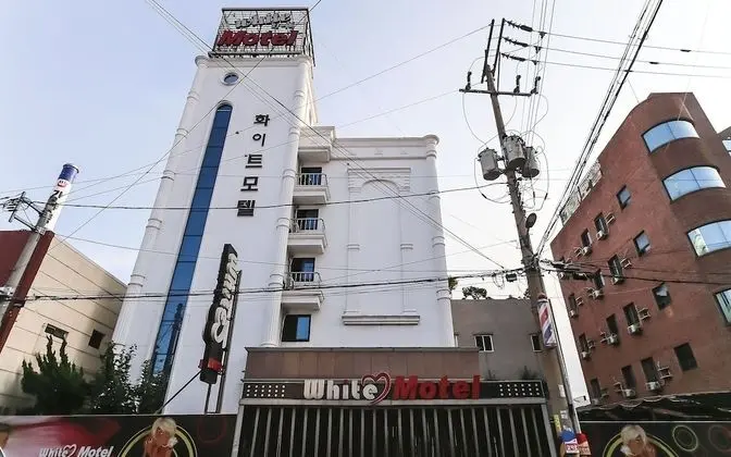 Pohang Daedodong White
