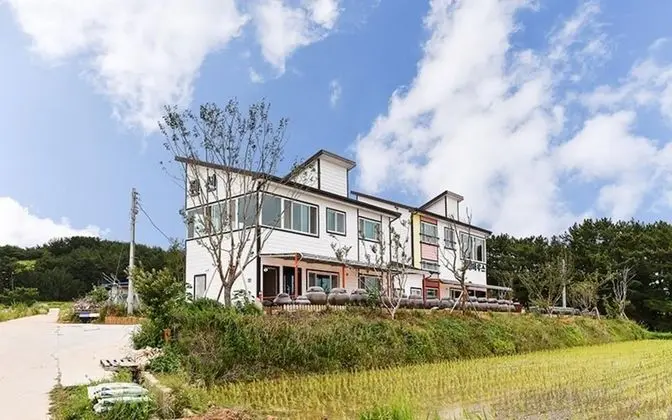 Pohang Healing House Pension