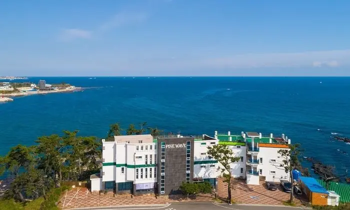 Pohang Pinewave Sea & Spa Pension - Dış Mekan