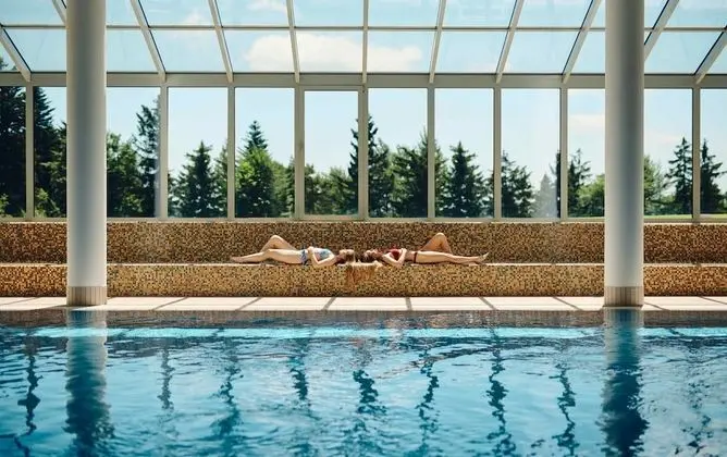 Pohorje Village Wellbeing Resort – Forest Hotel Videc - Havuz