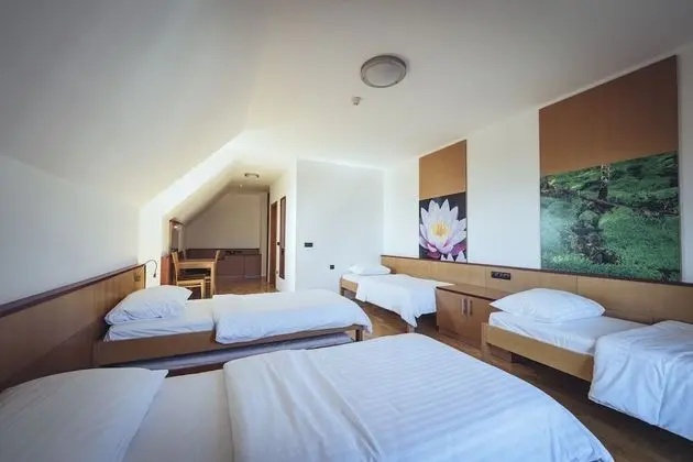 Pohorje Village Wellbeing Resort – Forest Hotel Videc - Oda