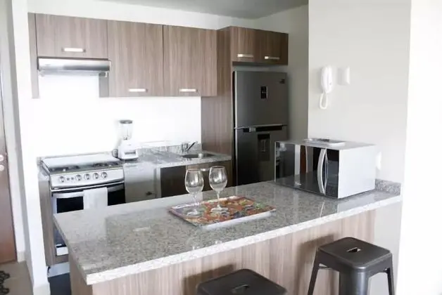 Polanco Area 2 Bedrooms & 2 Bathrooms - Mutfak