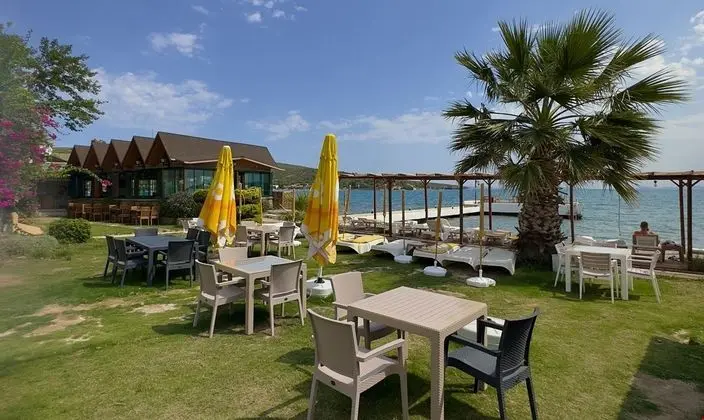Villa Polikne Otelrestoran - Genel