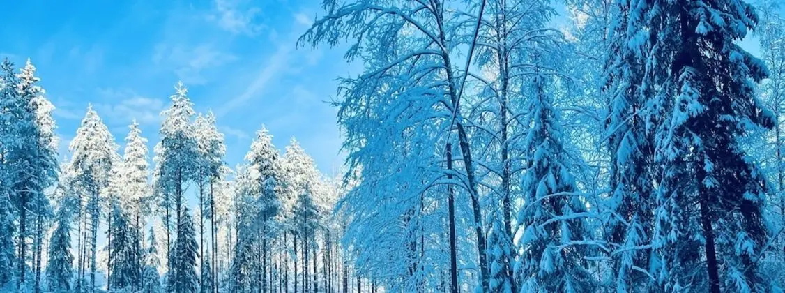 Polku Nuuksio Hotel Resort