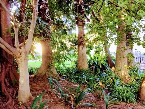 Polokwane Place - Dış Mekan