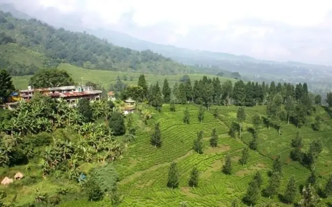 Pondok Amira