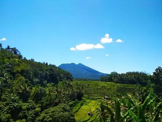 Pondok Batur Indah - Dış Mekan