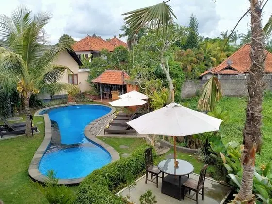 Pondok Massas Ubud - Havuz