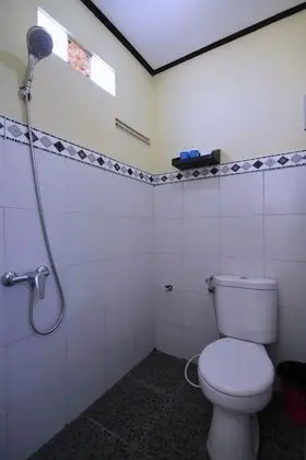 Pondok Mesari House Ubud - Banyo Tipleri