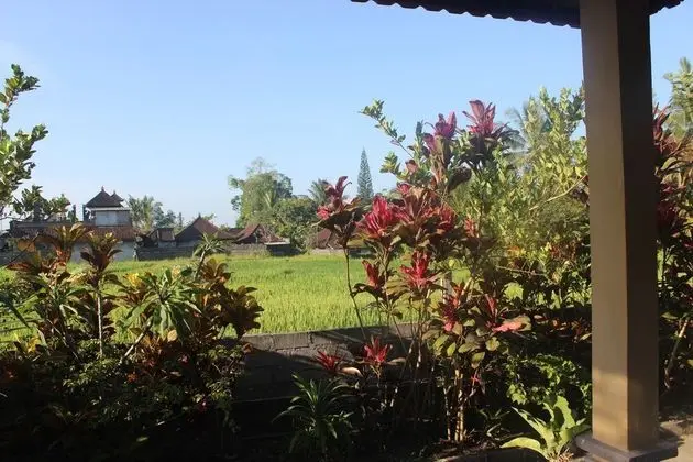 Pondok Sundari - Oda Manzaraları
