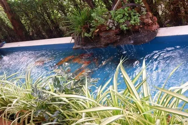 Pongsakorn Boutique Resort - Yerinde Yemek