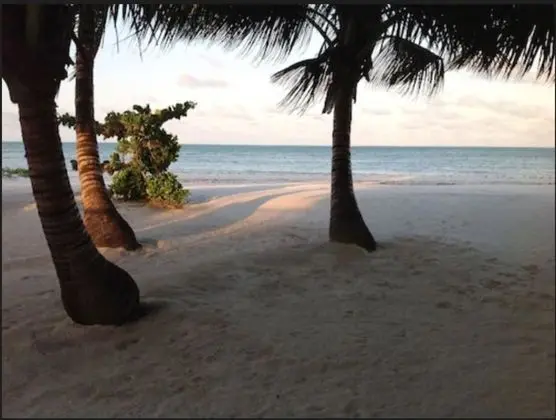 Pongwe Bay Resort