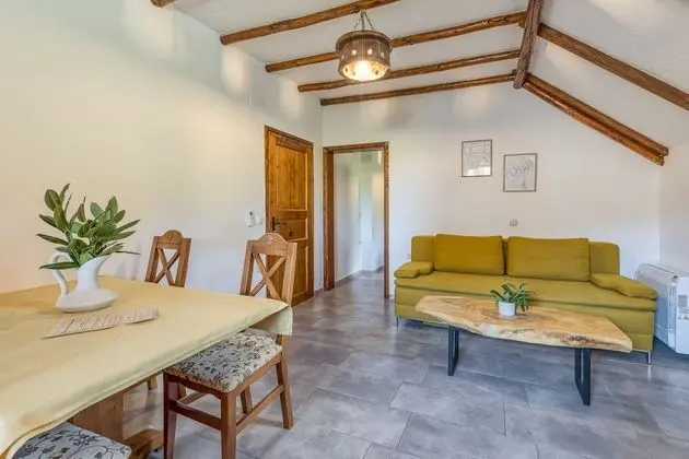 Pool Suite Sunflower