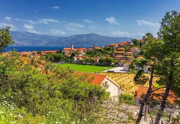 Pool Villa Tin on Island Brač