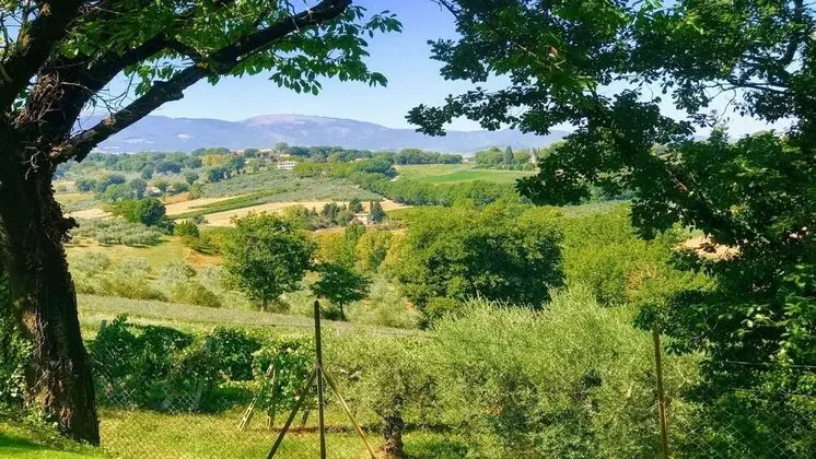 Pool Villa Yoga Studio Spoleto Tranquilla - A Sanctuary of Dreams and Peace - Dış Mekan