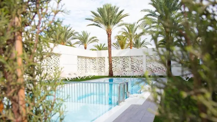 Port Elche - Havuz