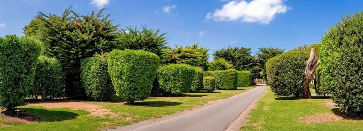 Port Fairy Holiday Park - Dış Mekan
