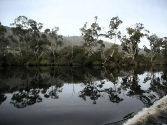 Port Huon Cottages - 1