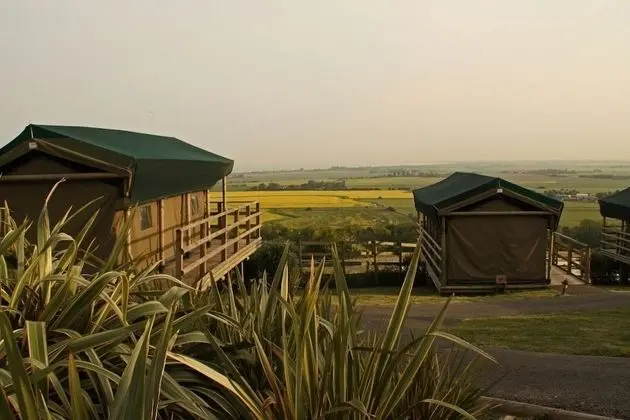 Port Lympne Reserve - Livingstone Lodge - Dış Mekan