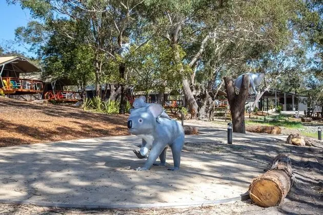 Port Stephens Koala Sanctuary - Dış Mekan