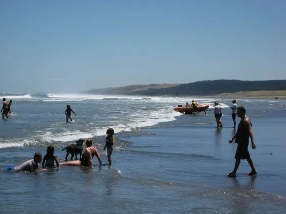 Port Waikato Holiday Park - Plaj