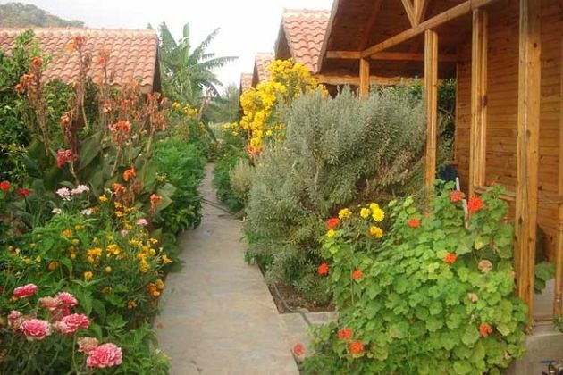 Portakal Bahçesi BungalowFotoğrafı