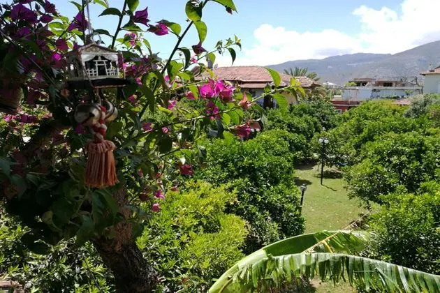 Portakalya Pansiyon