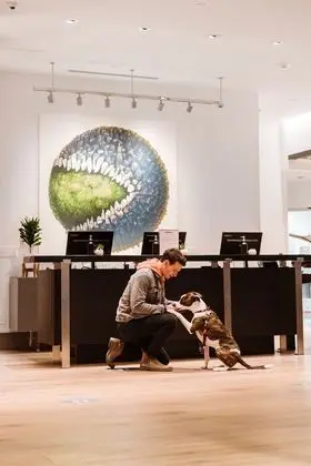Portland Marriott City Center - Lobi