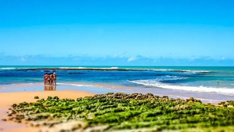Porto Dourado