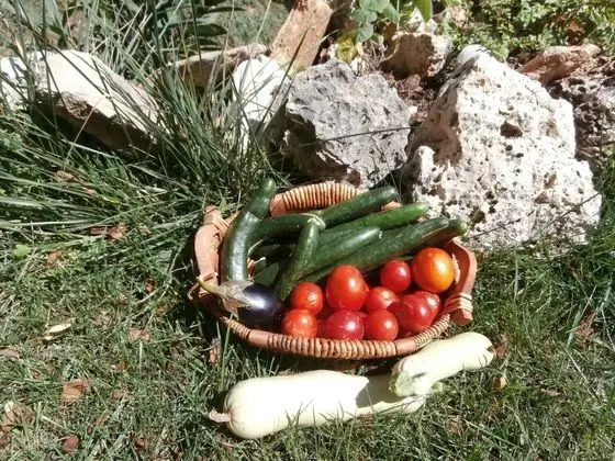 Porto Tsi Ostrias - Dış Mekan