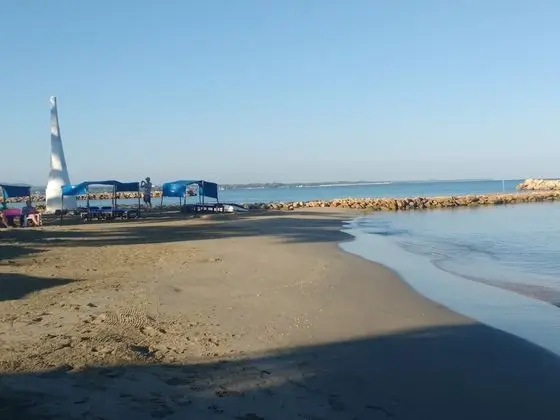 Hotel Portoalegre - Dış Mekan
