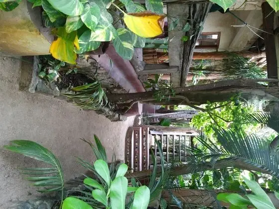 Posada del Sol Tulum - Dış Mekan