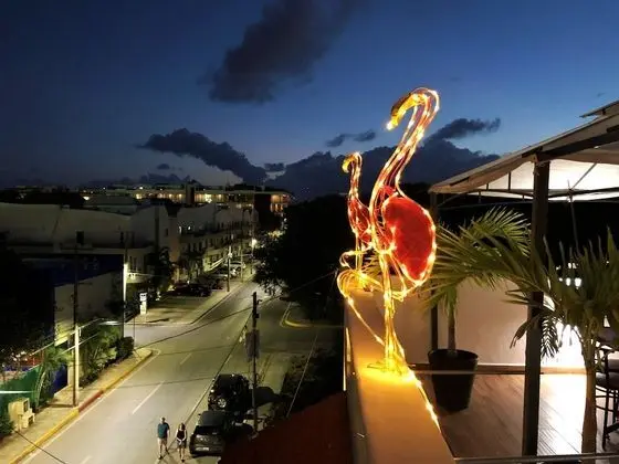 Posada Flamingos - Dış Mekan