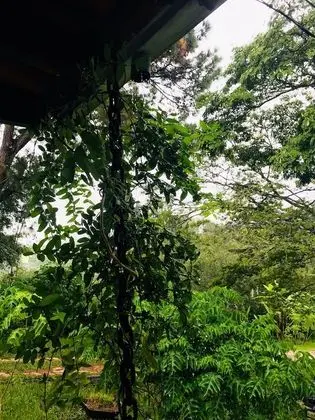 Pousada canto do Sabiá