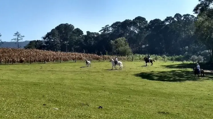 Pousada Centro Equestre Camila Sais - Dış Mekanlar