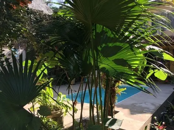 Pousada Das Bromelias - Havuz