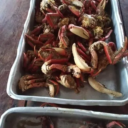 Pousada e camping do Márcio - Yerinde Yemek