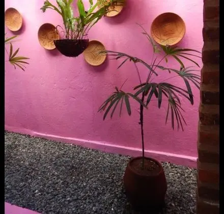Pousada Maracaipe