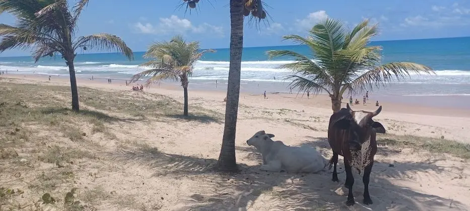 Pousada Marinheiro