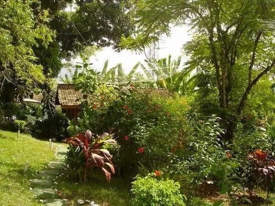 Pousada Paraiso de Boipeba - Dış Mekan