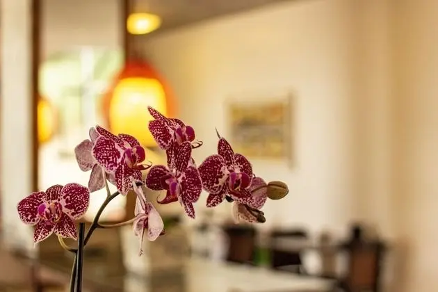 Pousada Ponta da Vigia