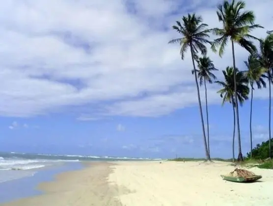 Pousada Porto Tropical - Plaj
