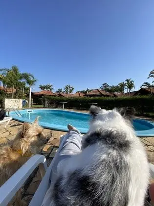 Pousada Rosa Studios